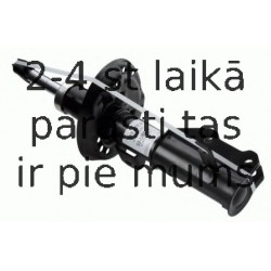 Amortizators SACHS 315 477