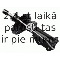 Amortizators SACHS 315 474