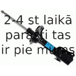 Amortizators SACHS 315 334