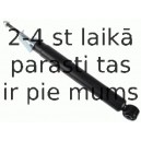 Amortizators SACHS 315 308