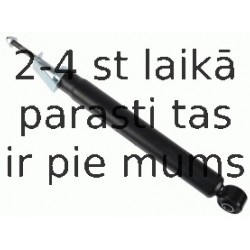 Amortizators SACHS 315 308