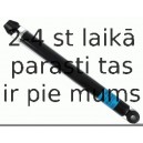 Amortizators SACHS 315 305