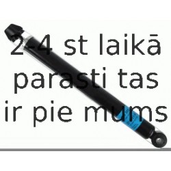 Amortizators SACHS 315 305