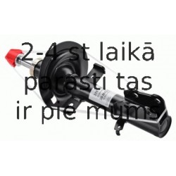 Amortizators SACHS 315 298