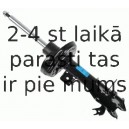 Amortizators SACHS 315 271