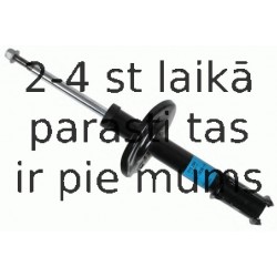 Amortizators SACHS 315 264