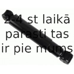 Amortizators SACHS 315 151