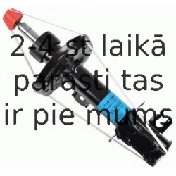 Amortizators SACHS 315 126