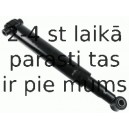 Amortizators SACHS 314 936