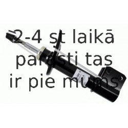 Amortizators SACHS 314 886