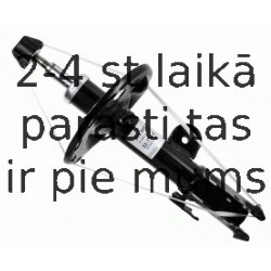 Amortizators SACHS 314 845