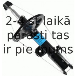 Amortizators SACHS 314 844