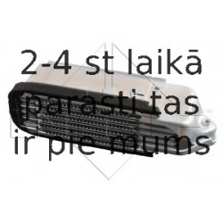 NRF 31202