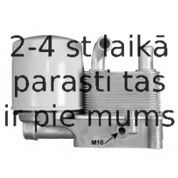 NRF 31193