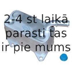 NRF 31172