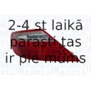 Aizmugurējais lukturis MAGNETI MARELLI 714021390701