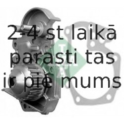 Ūdenssūknis INA 538 0021 10