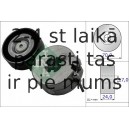 Spriegotājsvira, Ķīļrievu siksna INA 534 0333 10
