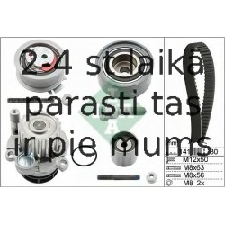 Ūdenssūknis + Zobsiksnas komplekts INA 530 0463 30