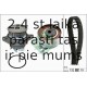 Ūdenssūknis + Zobsiksnas komplekts INA 530 0165 30