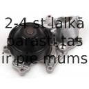 HEPU P419