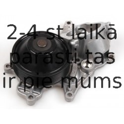 HEPU P419