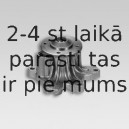 HEPU P411
