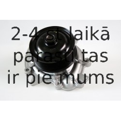 HEPU P1522