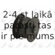FORTUNE LINE FZ91158