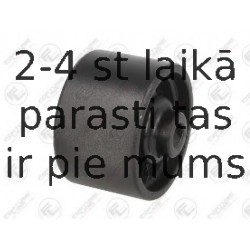 Подвеска, двигатель FORTUNE LINE FZ91155