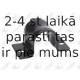 Stabilizators, Balstiekārta FORTUNE LINE FZ91141