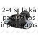 Kronšteins, Motora piekare FORTUNE LINE FZ91135