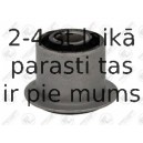 Atsperes iekare FORTUNE LINE FZ91118