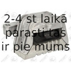 Подвеска, двигатель FORTUNE LINE FZ91077