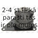 Подвеска, двигатель FORTUNE LINE FZ91074