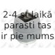 Подвеска, двигатель FORTUNE LINE FZ91059