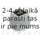 Подвеска, двигатель FORTUNE LINE FZ91059