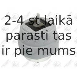 Подвеска, двигатель FORTUNE LINE FZ91059