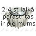 Подвеска, двигатель FORTUNE LINE FZ91055