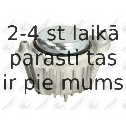 Подвеска, двигатель FORTUNE LINE FZ91055