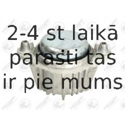 Подвеска, двигатель FORTUNE LINE FZ91054