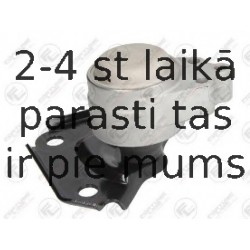 Подвеска, двигатель FORTUNE LINE FZ91039