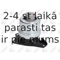 Подвеска, двигатель FORTUNE LINE FZ91030