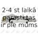 Kronšteins, Motora piekare FORTUNE LINE FZ91013