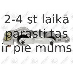 Kronšteins, Motora piekare FORTUNE LINE FZ91013