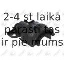 Piekare, Stabilizators FORTUNE LINE FZ90927
