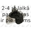 Kronšteins, Motora piekare FORTUNE LINE FZ90889