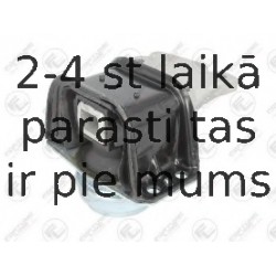 Подвеска, двигатель FORTUNE LINE FZ90887