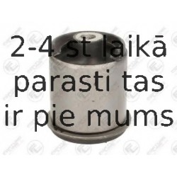 Piekare, Tilta sija FORTUNE LINE FZ90880