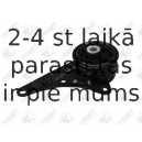 Piekare, Pārnesumkārba FORTUNE LINE FZ90879